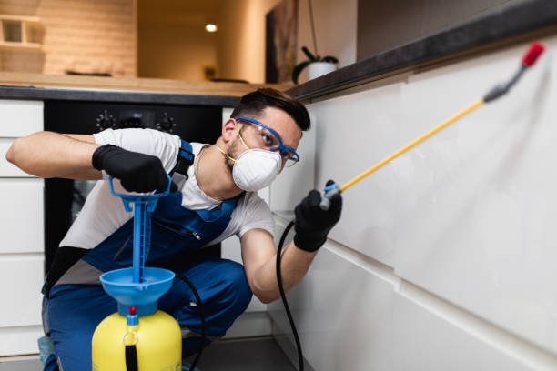 Best Best Pest Control Companies  in Cape Charles, VA
