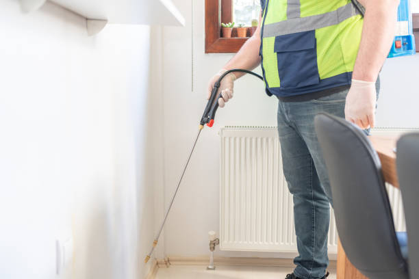 Best Affordable Pest Control Services  in Cape Charles, VA