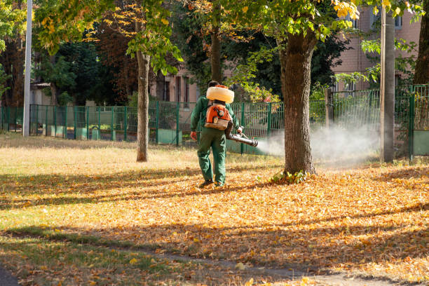 Best Pest Removal Services  in Cape Charles, VA